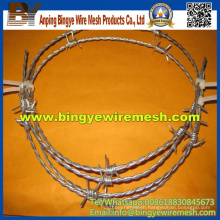 Positive and Negative Screw Galvanized Barbed Wire